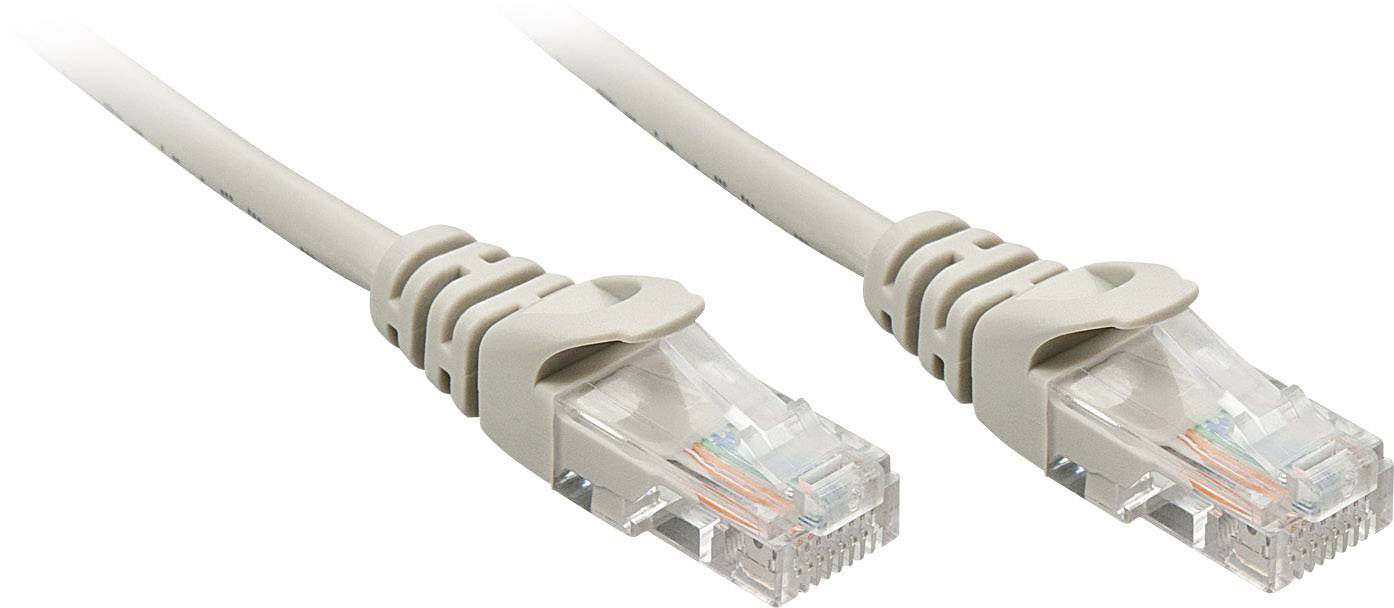 Due cavi Ethernet RJ45 con connettori trasparenti e guaine beige, utilizzati per la connessione di rete.