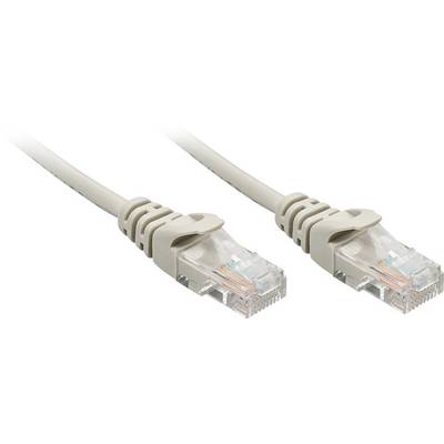 Due cavi Ethernet RJ45 con connettori trasparenti e guaine beige, utilizzati per la connessione di rete.