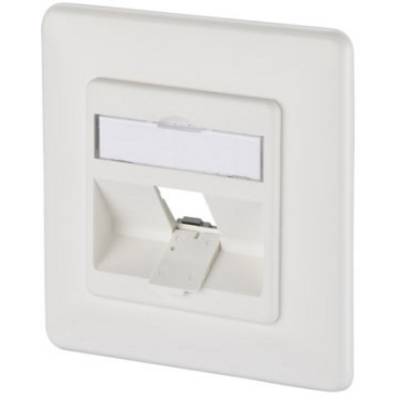 Un campo di connessione di rete vuoto e bianco su una staffa a parete, predisposto per l'inserimento di un modulo RJ45.
