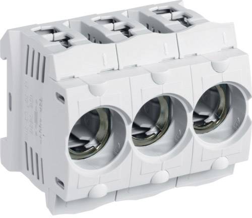 Tre portafusibili bianchi con aperture circolari disposti in fila, predisposti per l'alloggiamento di fusibili elettrici.