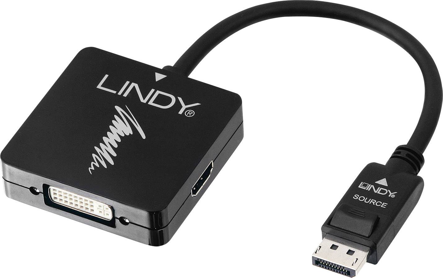 Un adattatore nero che collega un cavo DisplayPort a un'uscita DVI o HDMI. Sull'adattatore è riportato il marchio 'LINDY'.