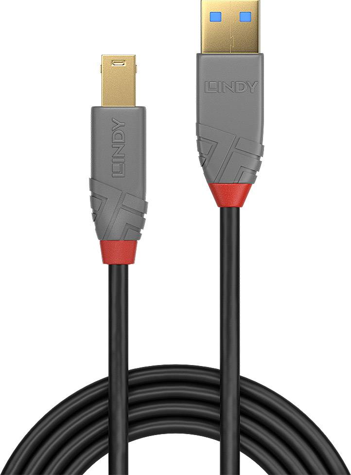 Un cavo USB con un connettore USB-A dorato e un attacco rettangolare. Il cavo è nero con dettagli grigi e rossi.