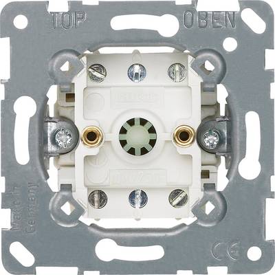 'Modulo presa elettrica, apertura centrale con contatti a vite, idoneo per 10A/250V, montato su un telaio metallico con fori per viti.'