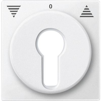 Un pannello di interruttori bianco con un pomello rotondo con un profilo a chiave al centro, rivolto sulla posizione '0'. Frecce a sinistra e a destra.