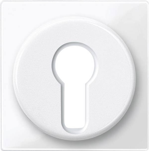 Merten   Coperchio System M bianco polare 319519 1 pz.