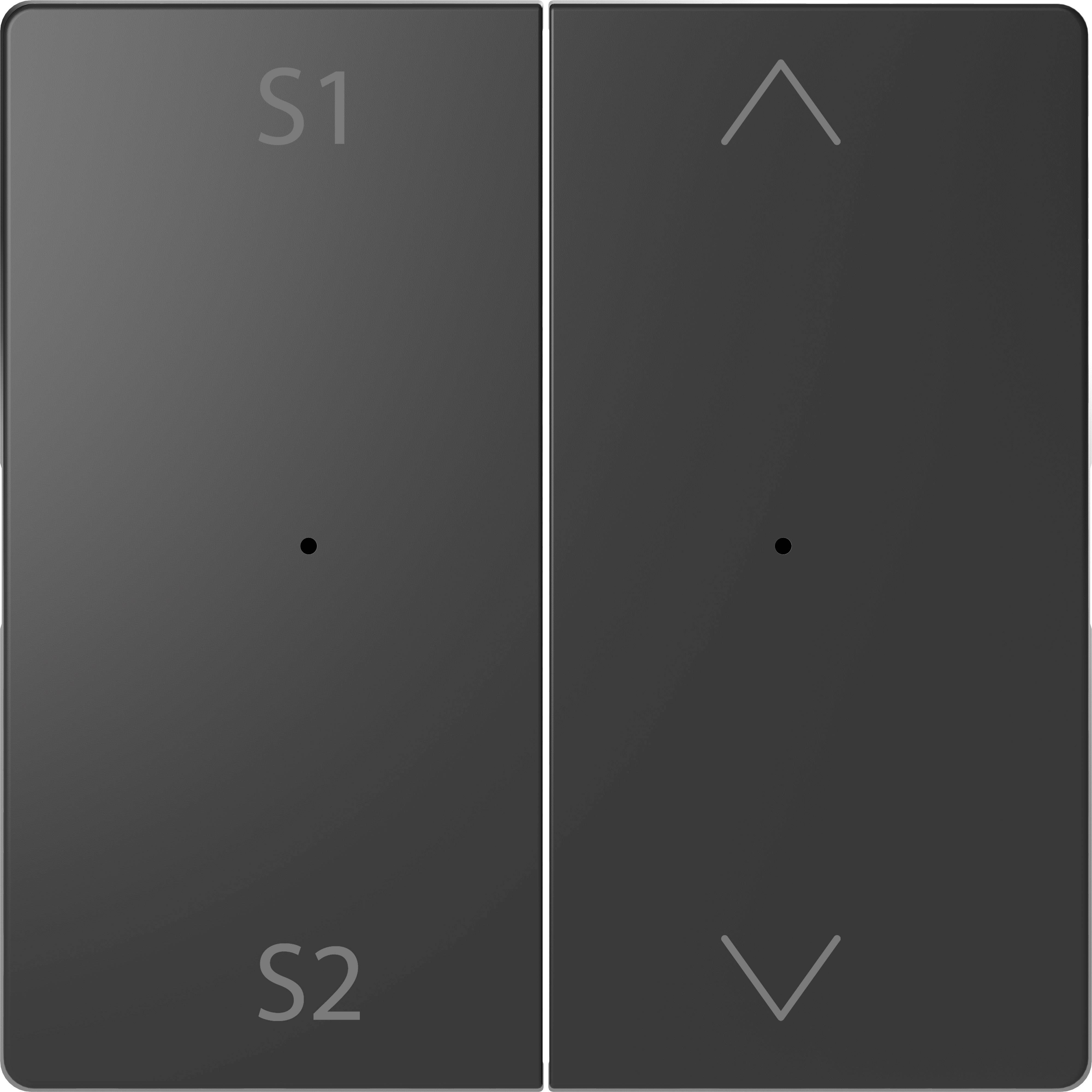 Interruttore nero a due sezioni; a sinistra 'S1' e 'S2', a destra una freccia rivolta verso l'alto e un punto; probabilmente per il controllo di un dispositivo.