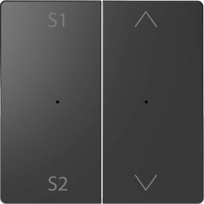 Interruttore nero a due sezioni; a sinistra 'S1' e 'S2', a destra una freccia rivolta verso l'alto e un punto; probabilmente per il controllo di un dispositivo.