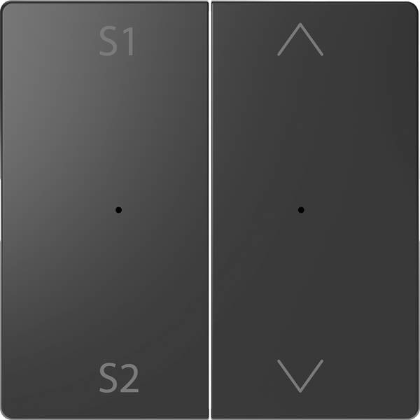 Merten  Placca di copertura Commutatore System Design Antracite MEG5227-6034 1 pz.