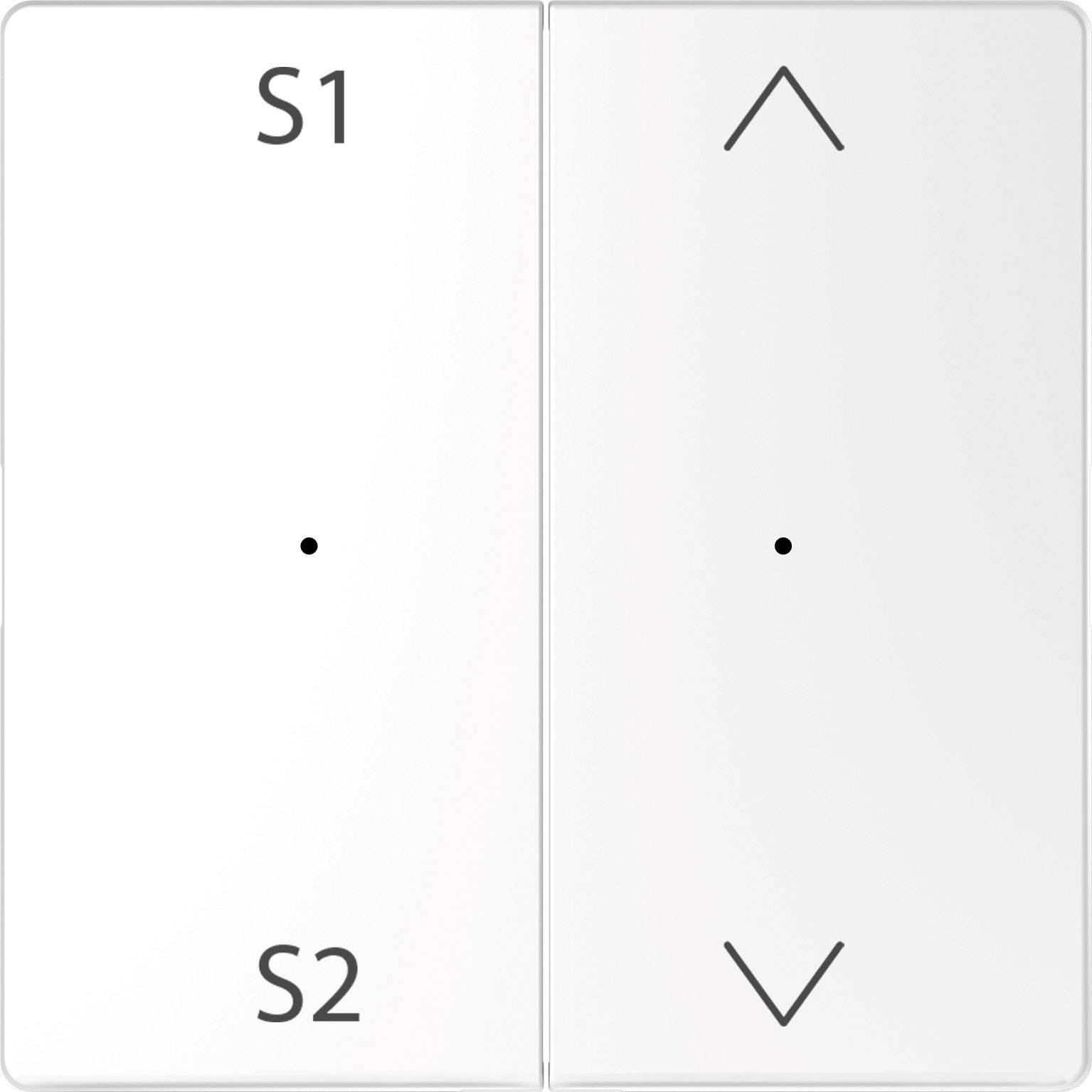 Due interruttori bianchi, quello di sinistra etichettato con 'S1' e 'S2', quello di destra con frecce rivolte verso l'alto e verso il basso.