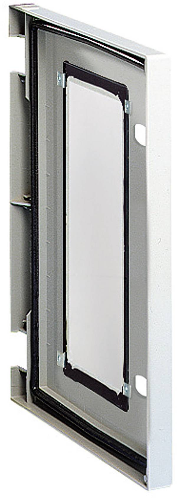 Schneider Electric NSYDPLM3025TG NSYDPLM3025TG Porta (L x A) 255 mm x 308 mm Poliestere Grigio (RAL 7035) 1 pz.