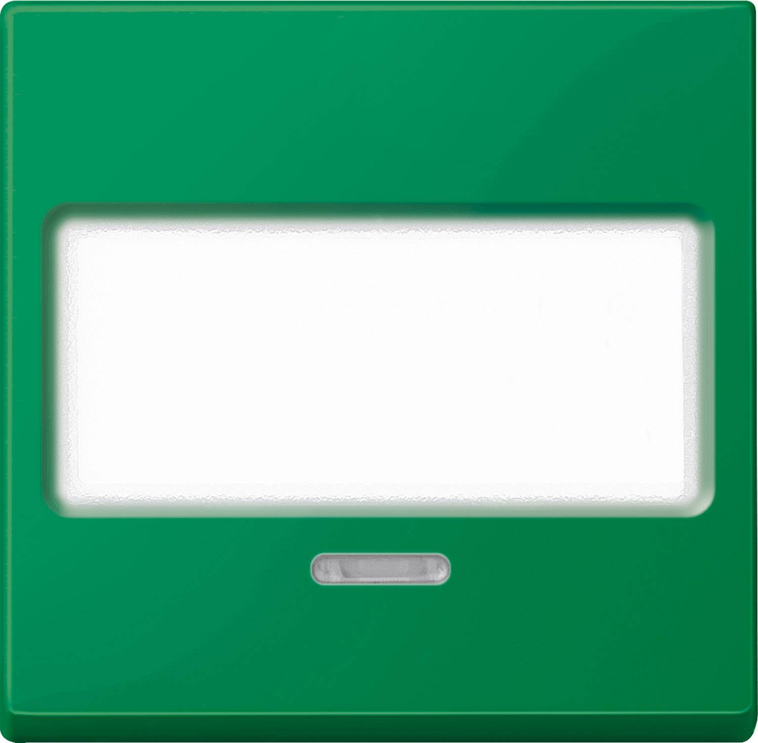 Pulsante di emergenza verde senza etichetta, rettangolare.