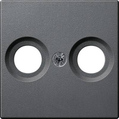 Sagoma grigia a forma di quadro con due aperture rotonde e una vite centrale.