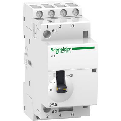 Un interruttore automatico elettrico di Schneider Electric con una leva nera e contrassegnato per 25 ampere.