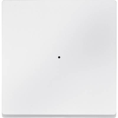 Uno sfondo bianco, semplice e quadrato, con un piccolo punto nero al centro.