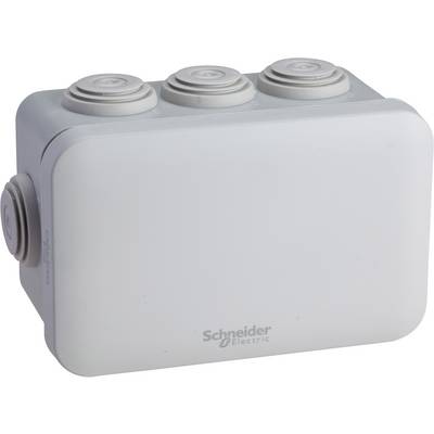 Un involucro grigio rettangolare con tre rilievi circolari sulla parte superiore, contrassegnato con 'Schneider Electric'.