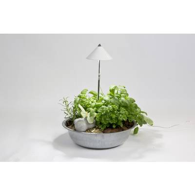Lampada per piante a LED Sunlite Bianco 7 W