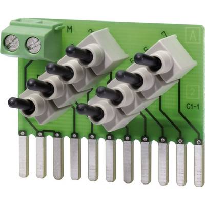 Una scheda verde con dieci contatti metallici sul fondo e cinque interruttori a levetta in alto, utilizzata per connessioni elettriche.