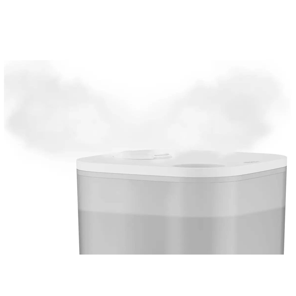 Umidificatore Rowenta HU4020 Bianco Plastica 115 W 2,5 L-2