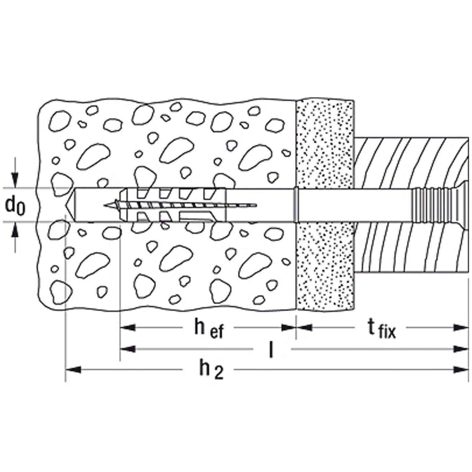 Fischer Nageldübel N6x40Z gal.v. mit Nagelschraube (Pack mit 100 St) (048788)-1