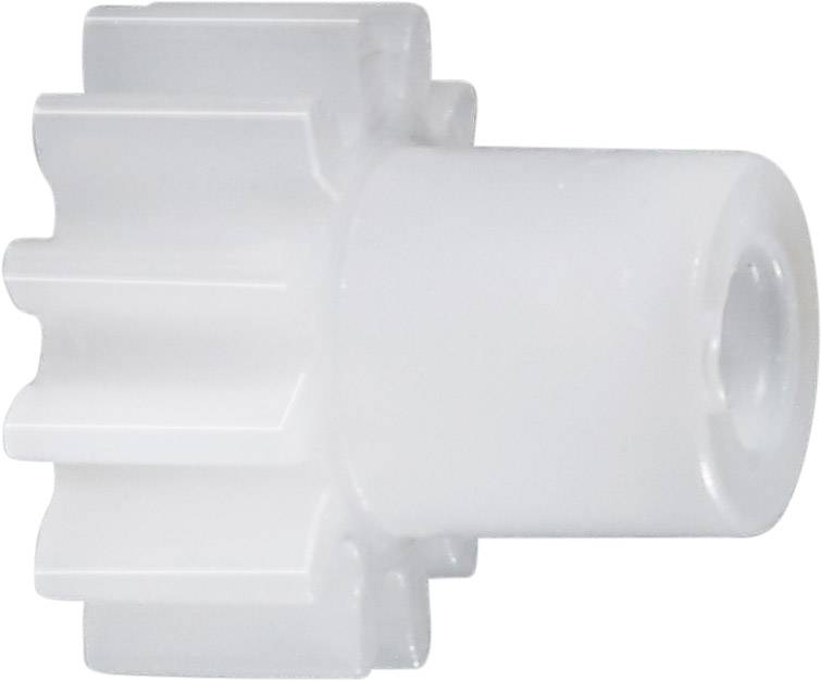 Ingranaggio dentato cilindrico Poliacetale Reely Tipo di modulo: 0.5 Ø foro: 4 mm Numero di denti: 30