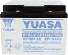 Yuasa NPC24-12 NPC24-12 Batteria al piombo 12 V 24 Ah Piombo-AGM (L x A x P) 175 x 125 x 166 mm Vite M5 Esente da manutenzione, Ciclica