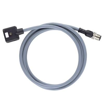 Cavo USB grigio con connettore rettangolare da un lato e connettore rotondo dall'altro, su sfondo bianco.