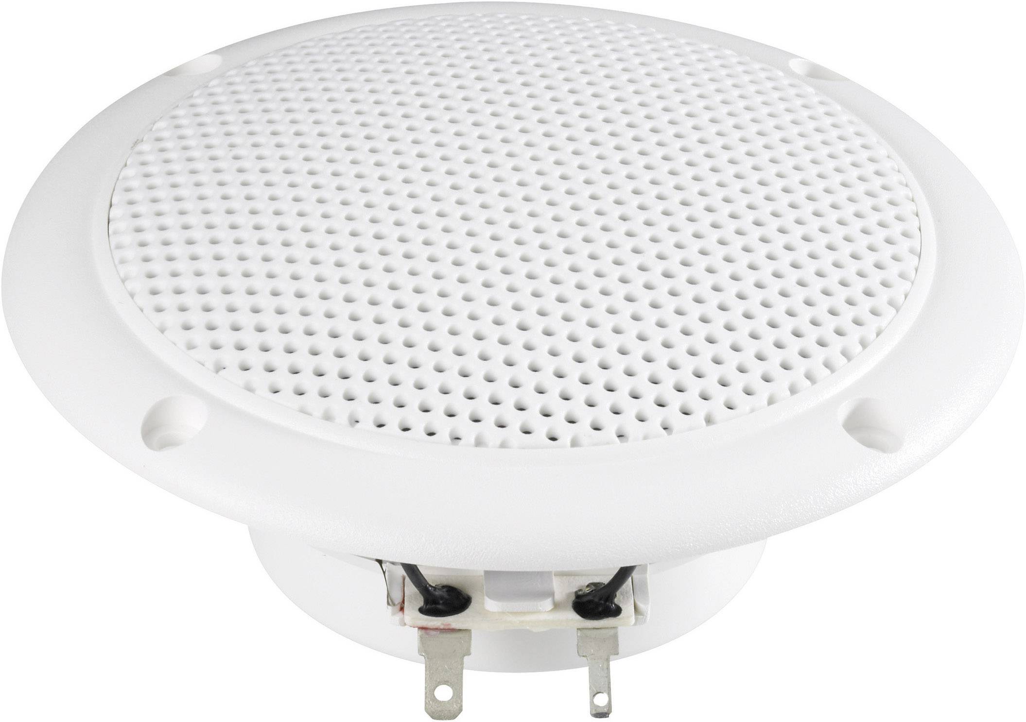 Altoparlante rotondo, bianco, con copertura a griglia metallica e due morsetti di connessione sul lato inferiore.
