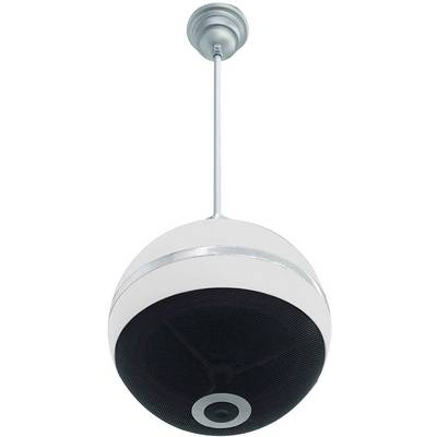 Altoparlanti da soffitto sferici con accento argentato, montati su un'asta metallica. Adatti per una distribuzione audio uniforme.