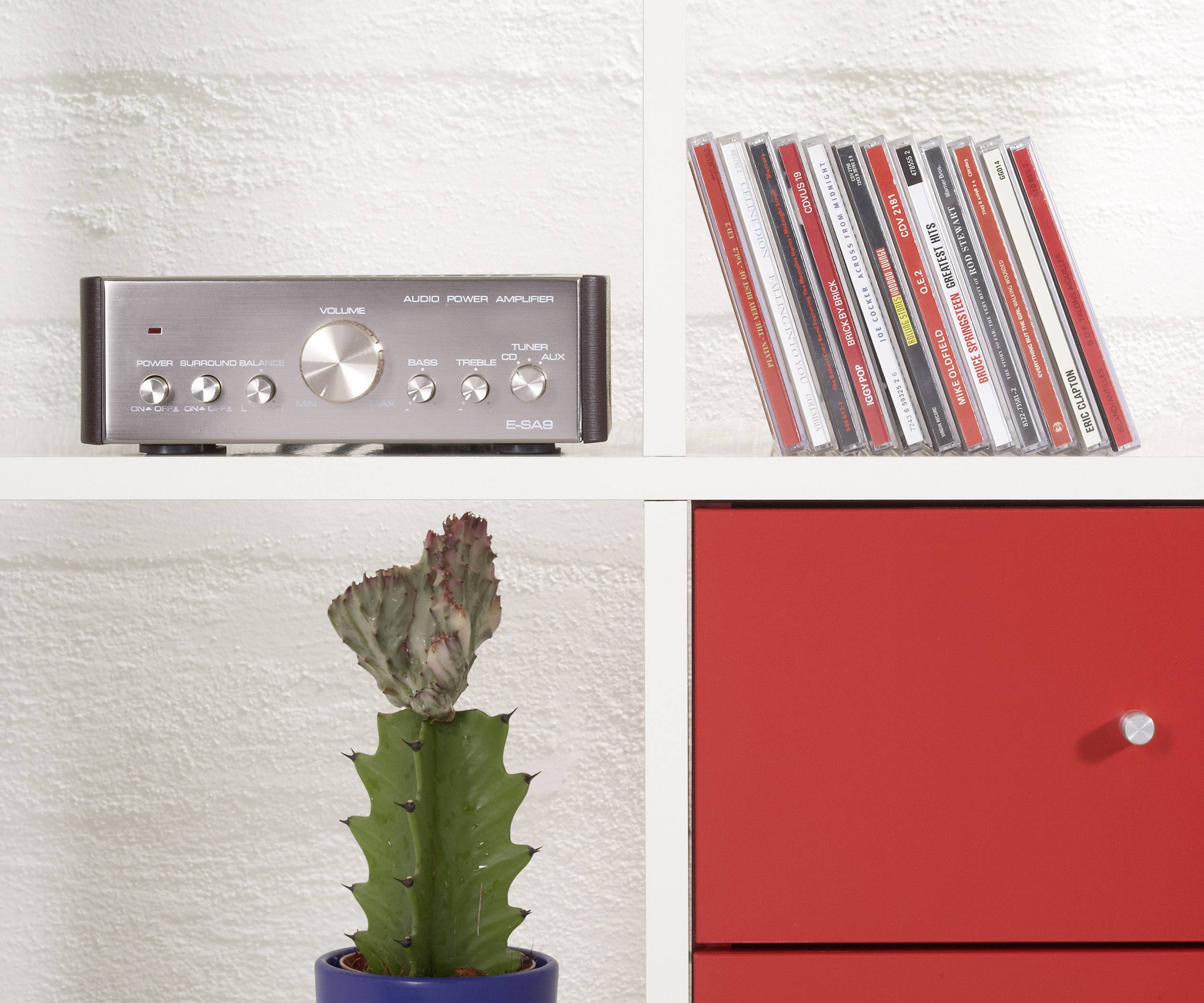''Un amplificatore, CD e un cactus su uno scaffale accanto a un cassetto rosso.''
