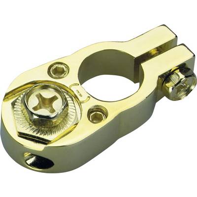 Morsetto batteria dorato con vite a stella, contatto sporgente e meccanismo di fissaggio. Utilizzato per connessioni elettriche sicure.