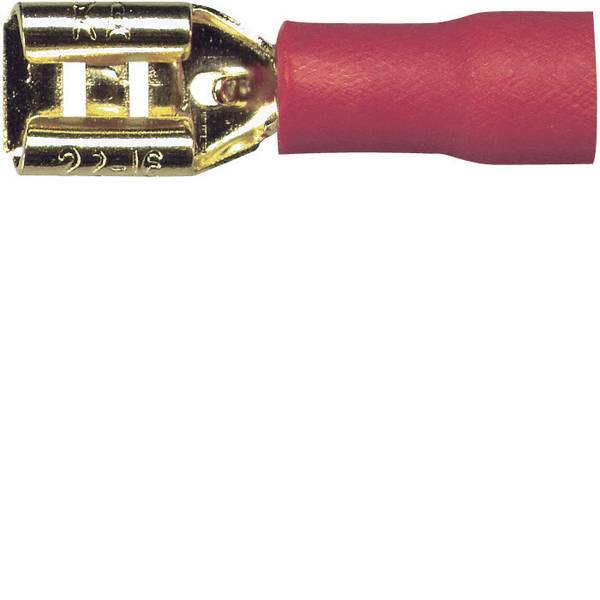 Cavi e connettori HiFi per auto - Spina faston HiFi per auto Kit da 10 1.5 mm² 4.8 mm Sinuslive placcato oro - Cavi e connettori HiFi per auto - Spina faston HiFi per auto Kit da 10 1.5 mm² 4.8 mm Sinuslive placcato oro -