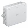 OBO Bettermann 2000410-G Cassetta di derivazione (L x L x A) 125 x 100 x 40 mm Grigio (RAL 7035) IP55 1 pz.