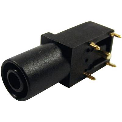 Spina jack da 3,5 mm nera con quattro piedini dorati, adatta per connessioni audio in dispositivi elettronici.