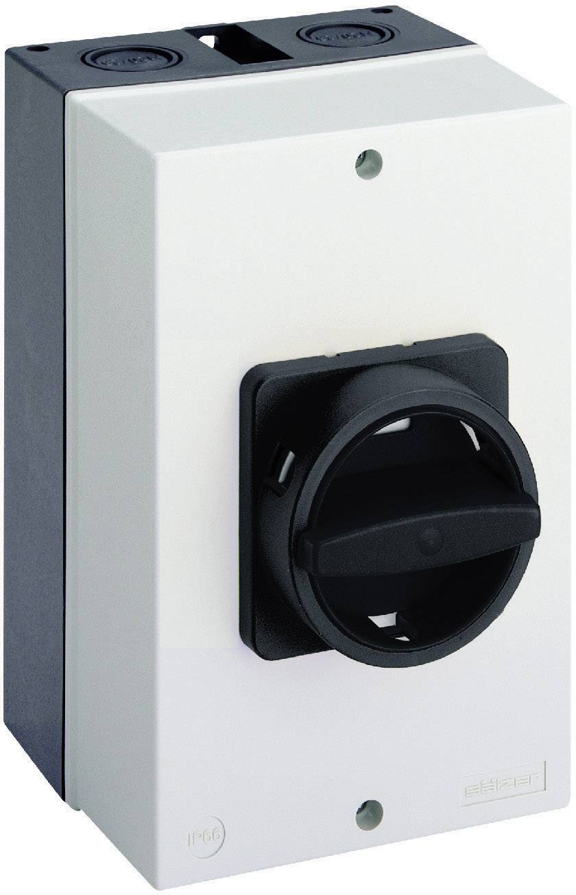 Un interruttore di rete rettangolare bianco con maniglia di rotazione nera, montato in un involucro grigio. Adatto per installazioni elettriche.