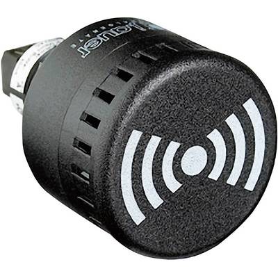 Auer Signalgeräte Buzzer 813500405 ESM Tono continuo, Tono pulsato 12 V/DC, 12 V/AC, 24 V/DC, 24 V/AC 65 dB-0