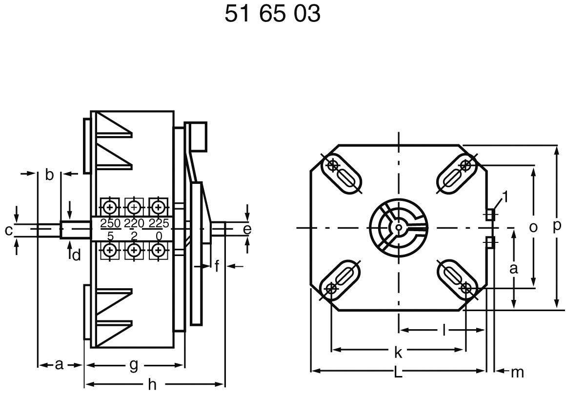 Disegno tecnico di un componente con quote e descrizioni. Vista laterale e frontale con vista dettagliata dell'etichettatura del componente.