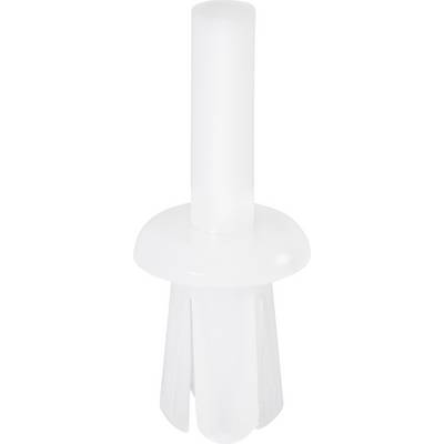Un tassello bianco in plastica con testa rotonda e corpo allungato, utilizzato per fissare oggetti nei materiali da costruzione.