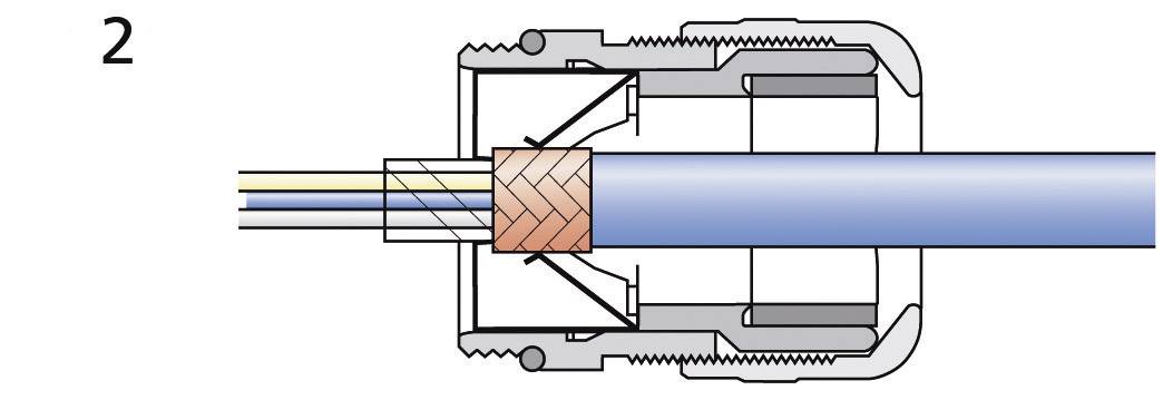 Rappresentazione schematica di un cavo coassiale in un connettore. Mostra la struttura e il posizionamento all'interno della spina.