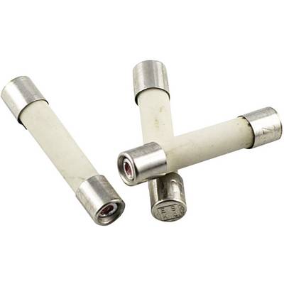 Tre fusibili a tubo bianchi con estremità argentate su sfondo bianco. Sono disposti in modo diverso e mostrano i loro cappucci metallici.