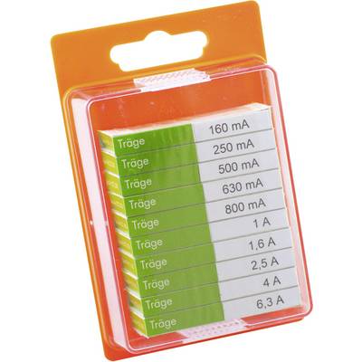 Un set di fusibili di diversi amperaggi: 160 mA, 250 mA, 500 mA, 630 mA, 800 mA, 1 A, 1,6 A, 2,5 A, 4 A, 6,3 A.