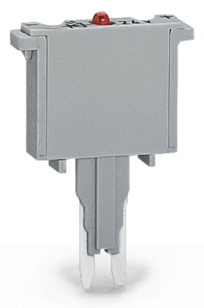 WAGO 280-856/281-413 Grigio 100 pz.