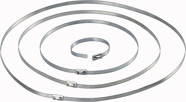 TRU COMPONENTS 1566204 Fascetta per cavi 127 mm 4.60 mm Argento 10 pz.