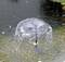 Gioco d'acqua: Una piccola fontana nello stagno spruzza acqua verso l'alto in una forma a cupola.