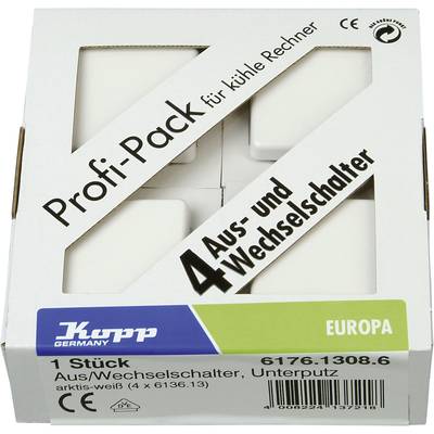 Kopp  Frutto Commutatore Europa Bianco artico, Opaco 617613086