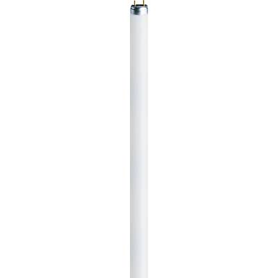 OSRAM Tubo fluorescente ERP: G (A - G) G5 8 W Bianco freddo 840 A forma tubolare (Ø x L) 16 mm x 288 mm  1 pz.
