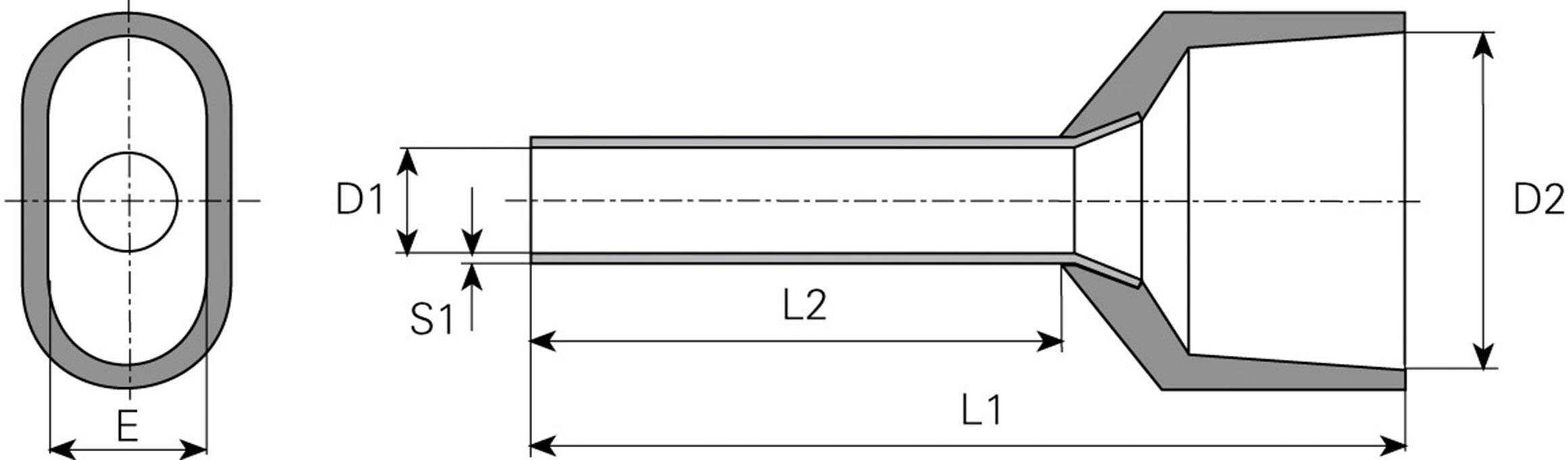 Disegno tecnico di un componente con misure: Estremità ovale con diametri D1 e D2, lunghezze L1 e L2, spessori S1 ed E.