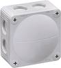 Wiska 10060400 Cassetta di derivazione (L x L x A) 85 x 85 x 51 mm Grigio (RAL 7035) IP66 1 pz.