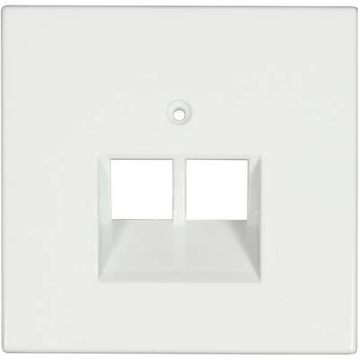 Coperchio bianco, quadrato, per scatole da incasso con due aperture rettangolari centrali. Utilizzato per l'installazione di moduli per prese elettriche.