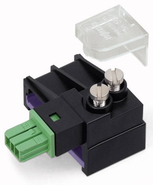 WAGO 893-262 Modulo presa Verde 50 pz.