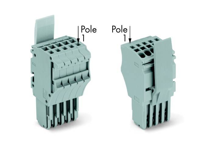 WAGO 2020-102/122-000 Grigio 100 pz.